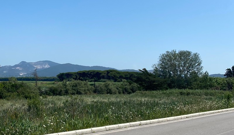 Tuscany views